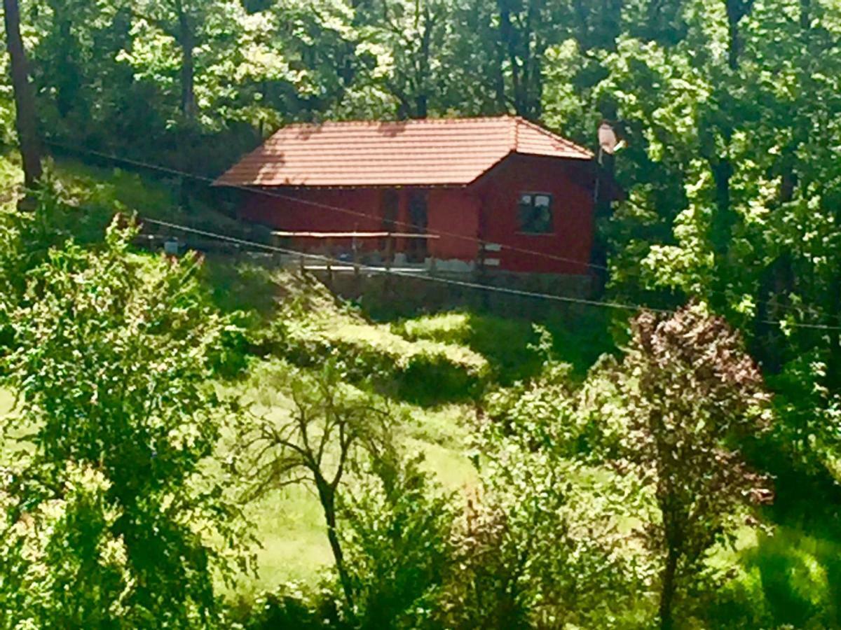 Le Murazze Holiday Houses Ponzone Luaran gambar