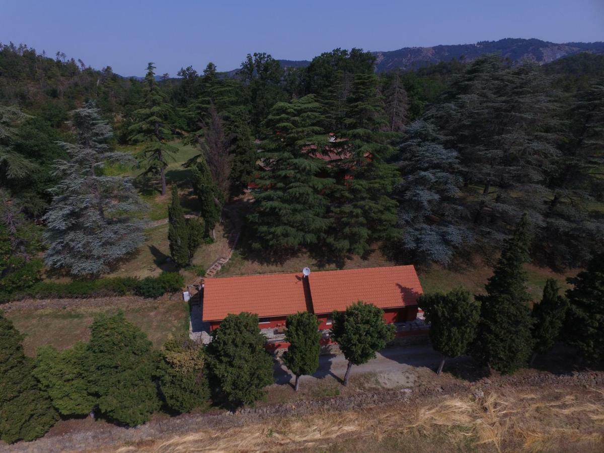 Le Murazze Holiday Houses Ponzone Luaran gambar